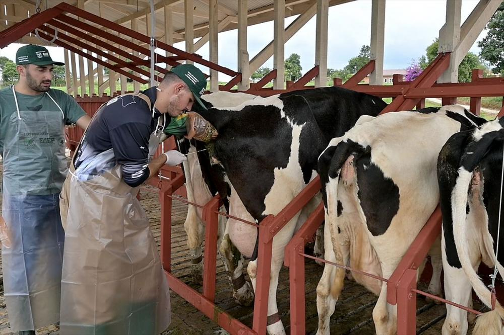 Curso de Inseminação Artificial em Bovinos capacita produtores rurais em Caetité.